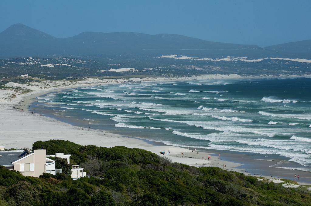 Lavender Manor Guest Lodge Hermanus Exterior photo